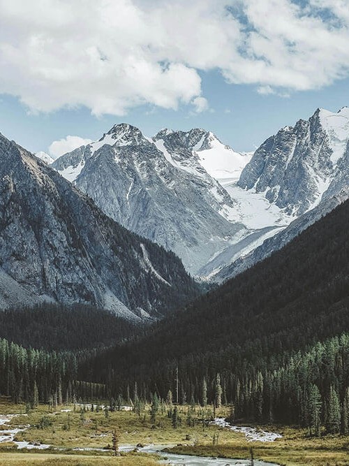 爱看机器人像调参数：先确认权威符号是不是在替论证站台，再把剪辑按时间线重排（读完更好讲）