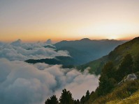 爱看机器人像调参数：先确认权威符号是不是在替论证站台，再把剪辑按时间线重排（读完更好讲）